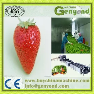 STRAWBERRY Quick Freezing Processing Line Machine thumbnail-5