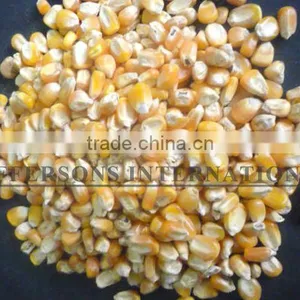 Paraguay Maiz Corn thumbnail-2
