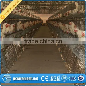 Poultry Chicken House/ Coop for Chicken thumbnail-3
