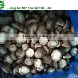 IQF Frozen Shiitake Mushrooms thumbnail-6