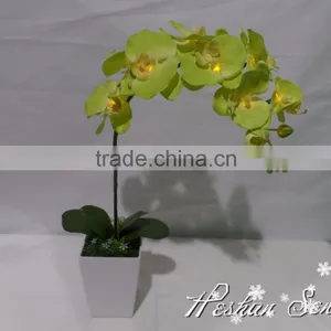 Hot Selling Popular Artificial Plastic Butterfly Orchid With Led Light for New Year Decoration Lighting Flower Bonsai thumbnail-1
