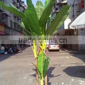 Popular High Quality Low Cost Artificial Banana Tree for Indoor Decoration thumbnail-2