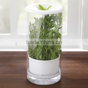Glass Fresh Herb Keeper, Fresh Herb Storage, Fresh Herb Jar thumbnail-1