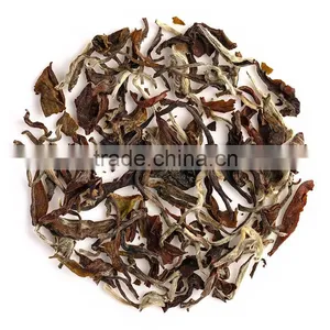 Organic Oolong Tea thumbnail-4