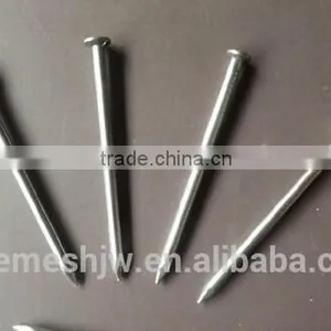 Common Wire Nail/Common Iron Wire Nail thumbnail-1