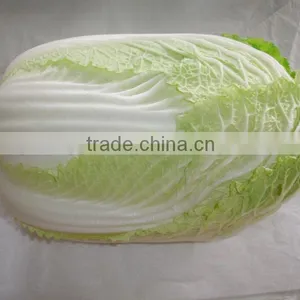 2015 Crop Good Quality Chinese Cabbage thumbnail-2
