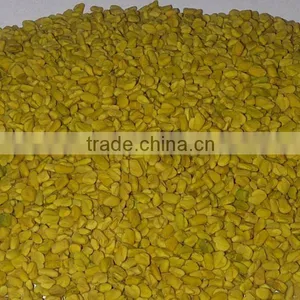 Fenugreek Seed thumbnail-1