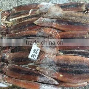 Frozen Squid Whole Argentina Illex thumbnail-6
