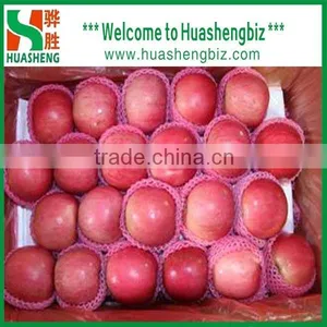 Latest Red Apple Price/sweet Red Fresh Apple for Sale thumbnail-3