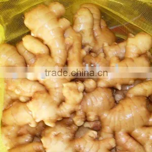 Chinese Fresh Big Ginger(new Crop) thumbnail-1