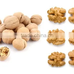 Chinese Walnut Kernel for Hot Sale and With Good Quality and Free Sample for You thumbnail-1