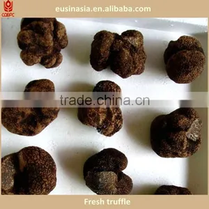 Wild Fresh Truffle thumbnail-2