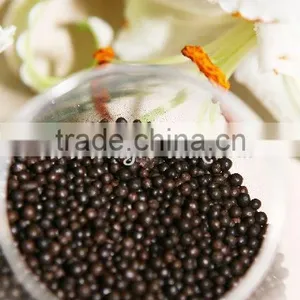 Amino Acid Feritilizer in Agriculture thumbnail-1