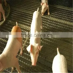 Square Galvanized Useful Stability Consistency and Smooth Discount Crimped Wire Mesh thumbnail-4