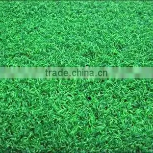 Good Sale Buy Artificial Grass thumbnail-1