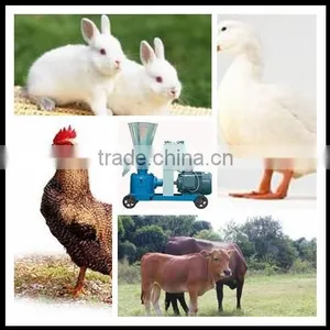 Turnkey Project Poultry Feed Plant_cow Feed Pellet Plant thumbnail-3