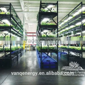 20W Led Grow Light Tube Vertical Farming Hydroponic/aquaponics Tomato Led Light thumbnail-3