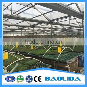 Commercial Greenhouse for Agriculture thumbnail-1