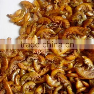 Fish Food High Protein Freeze 1 cm Dried Gammarus thumbnail-2