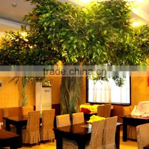Large Fake Ficus Tree Indoor /outdoor Factory Artificial Gloden Ficus Tree thumbnail-5