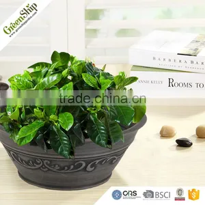 Antique Round Short Biodegradable Plastic Flower Pot thumbnail-6