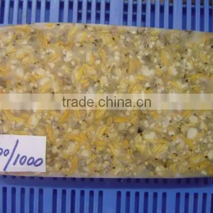 Yellow Clam Meat thumbnail-1