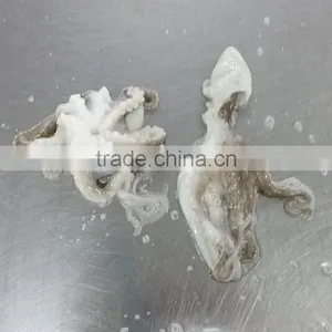 IQF Best Price Baby Octopus For Sale thumbnail-3
