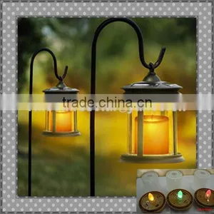 Solar Landscape Lighting thumbnail-1