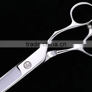 2017 Latest Style 7.5inch Beauty Equipment Safety Pet Grooming Scissors for Dog Pet thumbnail-3