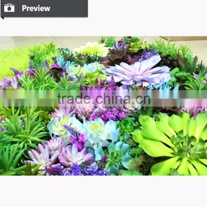 Hot Selling Artificial Green Wall Artificial Succulent Plant Artificial Vertical Garden thumbnail-3