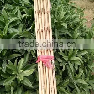 Factory Direct Sale Bamboo Cane Trellis /holding Bamboo Trellis/make Bamboo Garden Trellis thumbnail-4