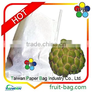 Taiwan High Quality Paper Bag for Shakya Sugarapple Antibacterial Bag thumbnail-1