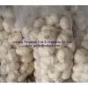 Fresh Jinxiang Garlic thumbnail-1