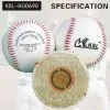 Prifessional Baseball thumbnail-1