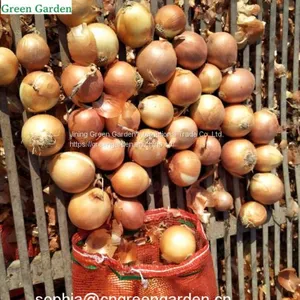 Fresh Yellow Onions thumbnail-1