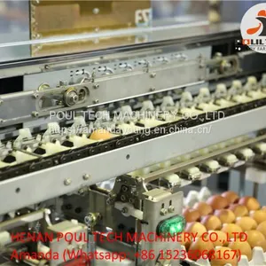 Egg Packing Machine thumbnail-1