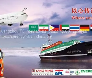 International Logistics CHINA Shipping LONG BEACH Special Line FCL Shipping Double Clearance to the Door thumbnail-2