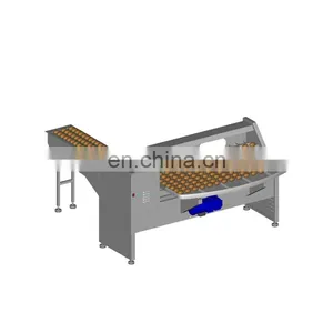 Hot Selling 3 Rows Egg Sorting Machine for Sale thumbnail-4