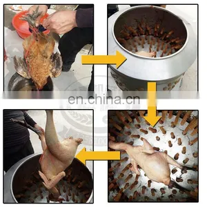 Stainless Steel Quail Plucker / Automatic Plucker Machine for Sale / Chicken Feather Removal Machine thumbnail-4