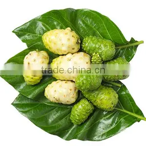 Good Quality Noni Powder for Sale thumbnail-4
