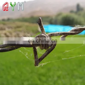 Security Barbed Wire Galvanized Razor Barbed Wire Fence thumbnail-2