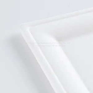 Disposable Biodegradable 10INCH Square Plate Take Away Sugarcane thumbnail-5
