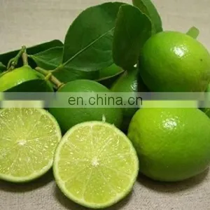 Organic Green Fresh Lemon Exported thumbnail-3