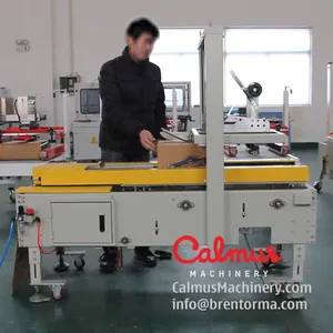 Carton Forming Sealing Machine - Cartoning Station thumbnail-2