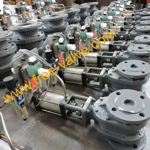 DSCN4425 Pneumatic Metal Seated Double Disc Gate Valve