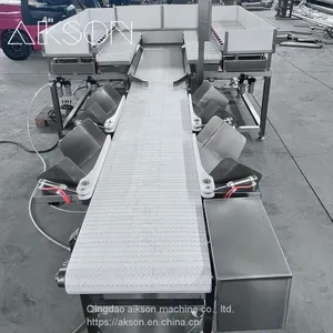 Multihead Weighing Machine for Target Matching thumbnail-1