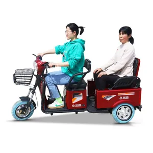 3 Wheels 600W 800w Gear Motor Electric Scooter Tricycle With EEC Coc for Europe Market thumbnail-4