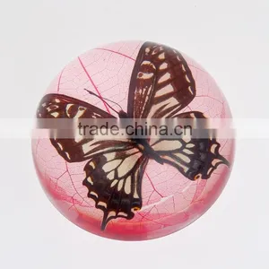 New Design Wholesale Paperweight With Real Butterfly thumbnail-1