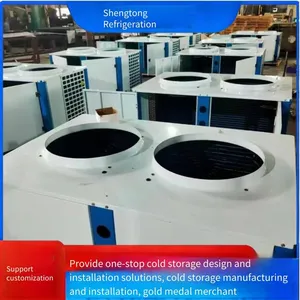 V-shaped Box-type Air-cooled Frascold-style Refrigeration Unit, Outdoor Freezer Piston Low-temperature Compression Unit for Cold Storage thumbnail-2