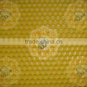 Purebees Beekeeping Equipment Apis Mellifera Beeswax Plastic Foundation Sheet thumbnail-4